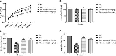 Antiosteoporosis and bone protective effect of dieckol against glucocorticoid-induced osteoporosis in rats